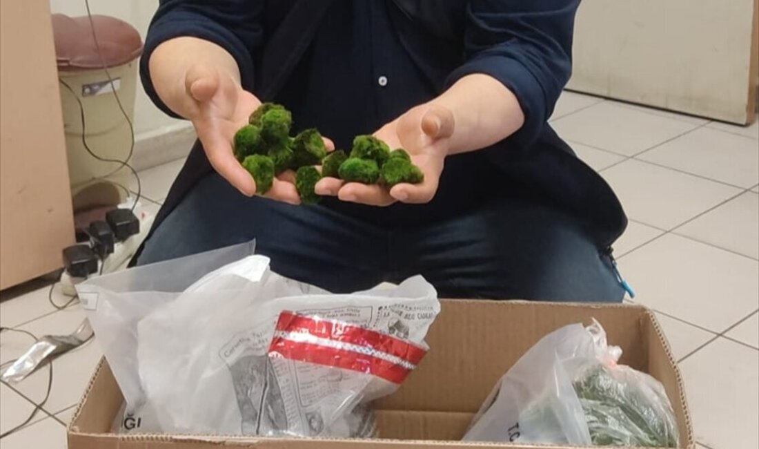 Kapıkule’de şaşkına çeviren operasyon! Otobüste 2 bin 125 canlı yeşil alg ele geçirildi Kapıkule Sınır Kapısı’nda yurda giriş yapan bir yolcu otobüsünde yapılan