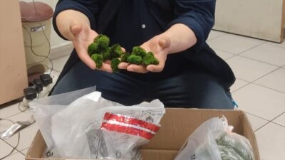 Kapıkule Sınır Kapısı’nda yurda giriş yapan bir yolcu otobüsünde yapılan