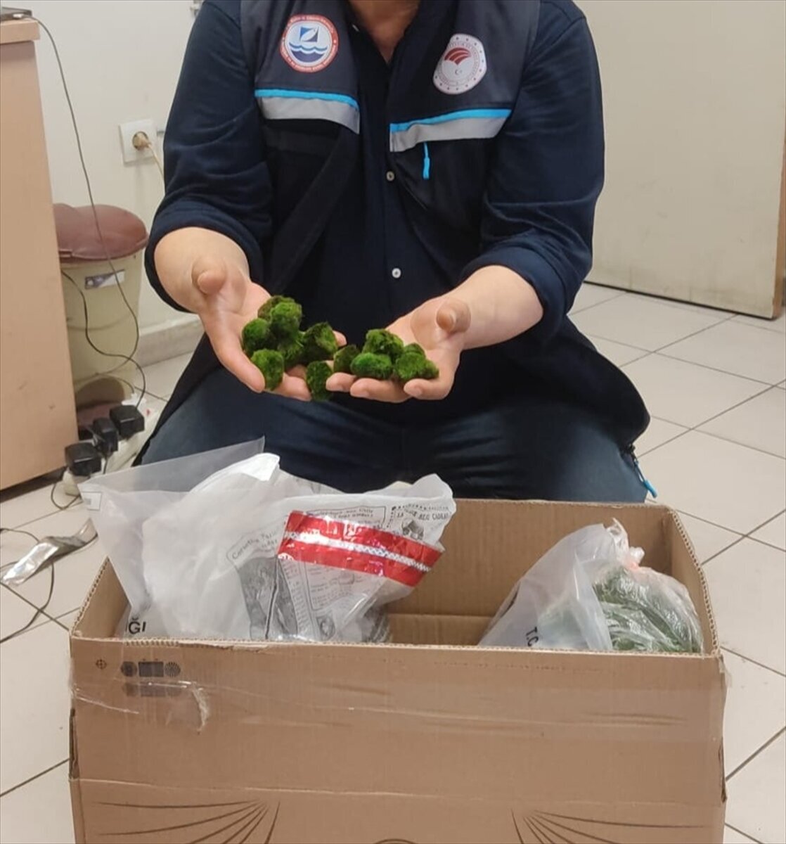 Kapıkule Sınır Kapısı’nda yurda giriş yapan bir yolcu otobüsünde yapılan