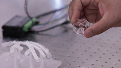 Koç Üniversitesi’nde görev yapan Türk bilim insanları, insan vücudundaki doğal