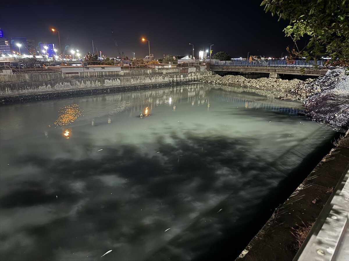 İstanbul Bakırköy’de sahile bağlantısı bulunan dere yatağında henüz belirlenemeyen nedenle