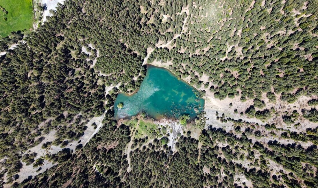 Erzurum’un İspir ilçesinde çam ormanlarının arasında yer alan Zagos Gölü,