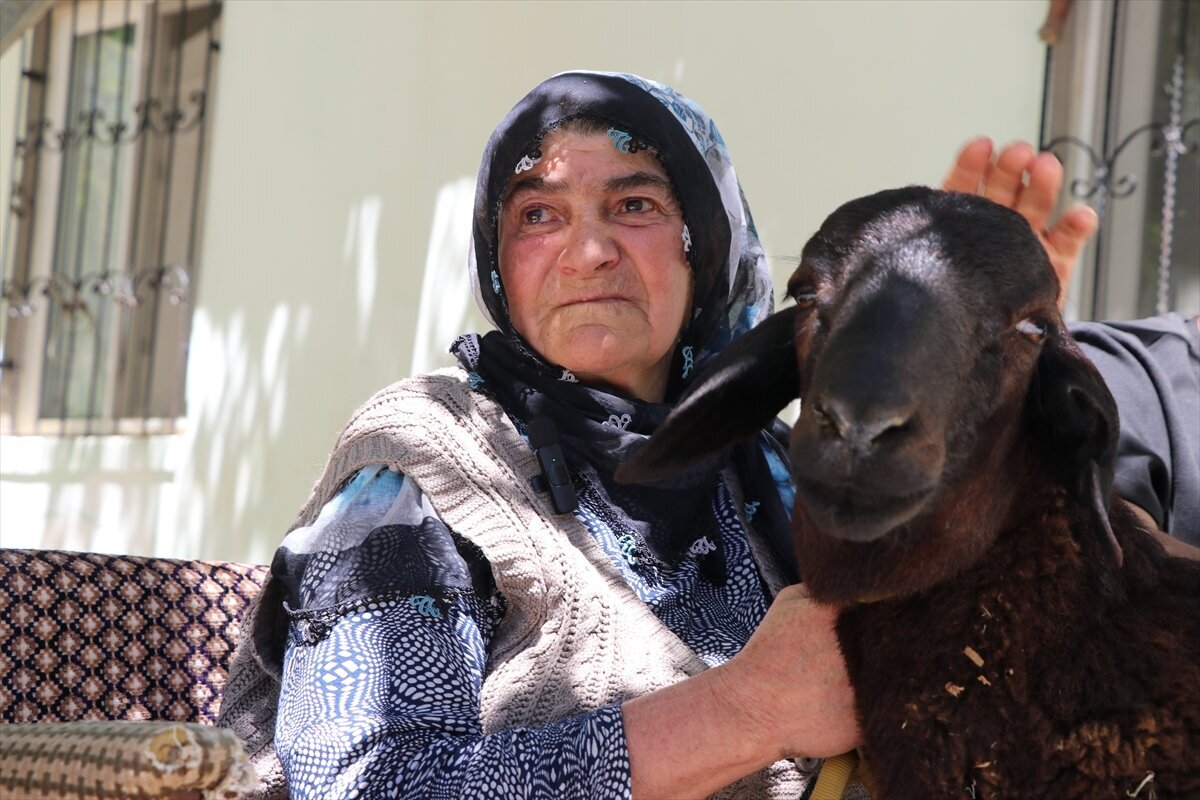 Elazığ’ın Keban ilçesine bağlı Akçatepe köyünde yaşayan 78 yaşındaki Sultan